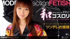 012211_014 模型集合選擇 … 98 戀物癖