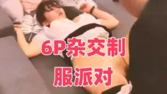 6P杂交制服派对