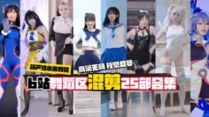 b站b站舞蹈区pmv小鱼剪辑混剪25部合集