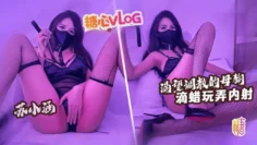 【发情淫妻】渴望被调教的骚母狗 滴蜡玩具抽插淫穴高潮 被主人狠插内射 苏小涵