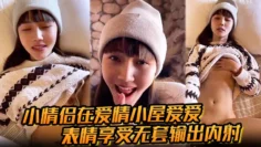 【小情侣在爱情小屋爱爱】表情享受无套输出内射