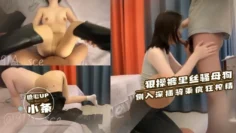 【性奴女友】狠插裤里丝 长筒靴小母狗 侧插骑乘疯狂榨精 小条