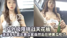 【查小理女奴-吴晗】户外极限挑战天花板，推特红人滴滴车上露出黄瓜紫薇然后在把黄瓜吃了