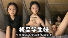 【泄密流出】极品学生妹 可爱甜妹小学妹道具插逼秀