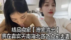 【泄密流出】精品良家泄密流出，贵在真实，天南海北，各色良家夫妻