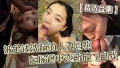 【精选合集】被金钱洗脑的人妻母狗_在操逼中逐渐放飞自我精品合集！