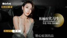 【糖心独家】多乙-积极の车震实习生