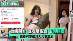 【网红爆料】微博网红微密圈张鑫丰乳巨臀大合集