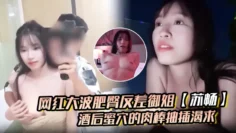 【苏畅】网红大波肥臀反差御姐酒后蜜穴的肉棒抽插渴求