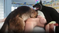 人兽交合大乱斗，性福的狗狗，性福的野兽，性福的一切生物，口味比较重哦