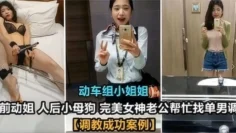 动车组小姐姐被调教成功案例