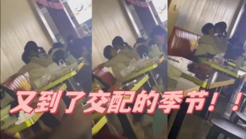 又到了交配的季节