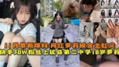 双马尾萝莉萌妹，逼逼太紧很难快手30W粉丝上犹县第二中学18岁萝莉，最新爆料被金主肛交内射插入插入进进出出呻吟诱人