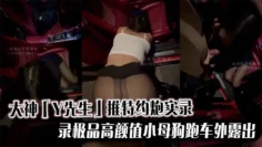 大神「Y先生」推特约炮实录极品高颜值小母狗跑车外露出被操到软瘫