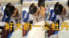 好大的一朵牡丹