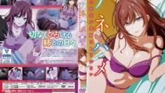 姐姐交合我的初戀不可能是親姐姐1