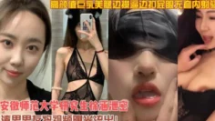 安徽师范大学研究生巨乳美腿边操逼边扣屁眼无套内射