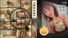 小文探花爱恋初体验软萌少女羞色回应