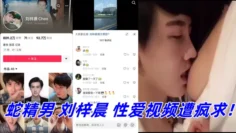 抖音网红鼻祖蛇精男【刘梓晨 】性爱视频遭疯求！
