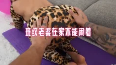 斑纹老婆在家不能闲着