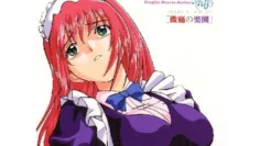 新世紀 淫魔聖傳