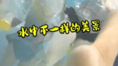 水中不一样的美景