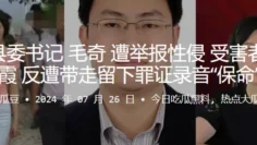 江西县委书记“毛奇”遭举报性侵，受害者“李佩霞”反遭带走留下罪证“保命”