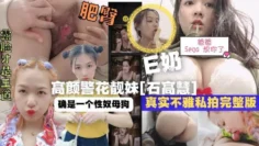 沈阳反差婊【高慧】被当母狗调教