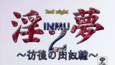 淫夢2彷徨の肉奴隷2ndnight