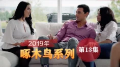 無套爆肏虛脫劇烈反差 啄木鸟19年系列-第13集