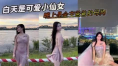 白天是可爱小仙女，晚上是金主爸爸的母狗