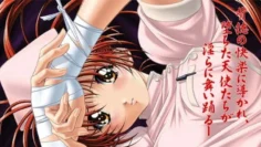 白衣天使們的輪舞