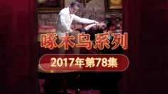 粉嫩小穴收縮 啄木鸟17年系列-第78集