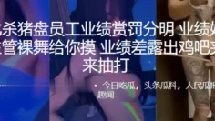 缅北杀猪盘员工业绩赏罚分明，业绩好美女主管裸舞给你摸，业绩差露出鸡吧夹住来抽打
