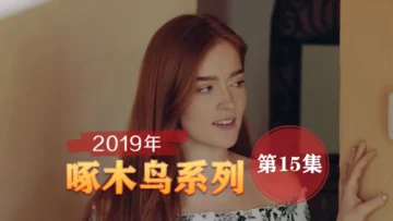 翹起小屁屁求插太騷了 啄木鸟19年系列-第15集