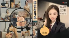 老司机探花飞行体验高冷空乘黑丝求爱