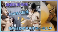 调教巨乳母狗骚货舔脚虐乳夫妻俩一起上手口交后入舔逼