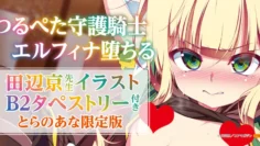 貧乳守護騎士 艾露菲娜墮落