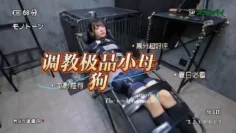 超级火爆的网上大家都在找的极品小萝莉调教视频目前一共拍了7部这样的主题每部都爆火我上传一部免费给大家看看喜欢的点个关注以后视频会更加精彩