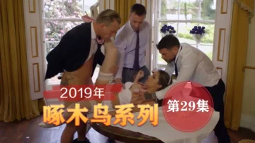 辦公室潛規則 啄木鸟19年系列-第29集