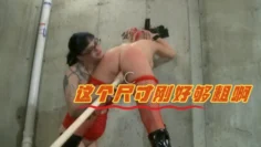 这个尺寸刚好够粗啊