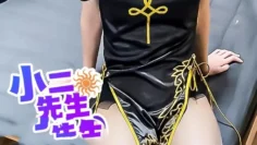 黑丝旗袍小母狗要不够 小二先生