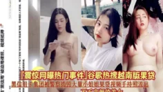 黑信用卡集团被警察捣毁大量小姐姐裸贷视频照流出