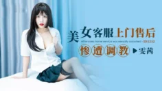 IDG5252 美女客服上门售后惨遭调教 雯茜