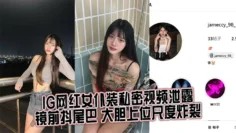 IG网红女仆装私密视频泄露，镜前抖尾巴 大胆上位尺度炸裂