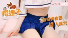 JK的小穴被按摩棒全部塞满了 樱狸子