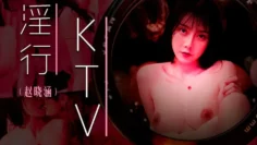 MDWP0033 淫行ktv 婚前淫欢杂交夜 赵晓涵